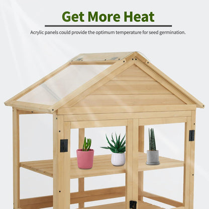 Cold Frame Greenhouse, 0847