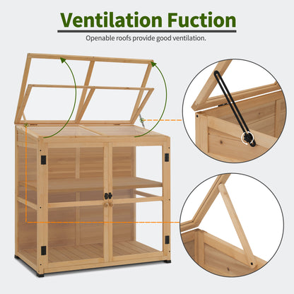 Cold Frame Greenhouse, 0718